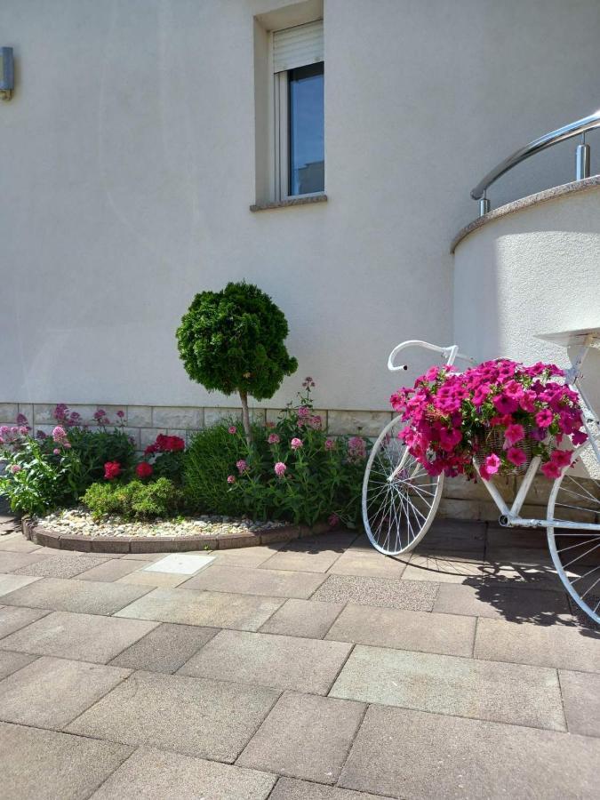 Garfild 1 Guest House Novi Vinodolski Bagian luar foto